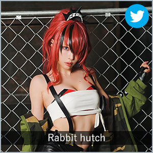 Rabbit hutch