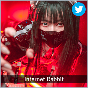 Internet Rabbit