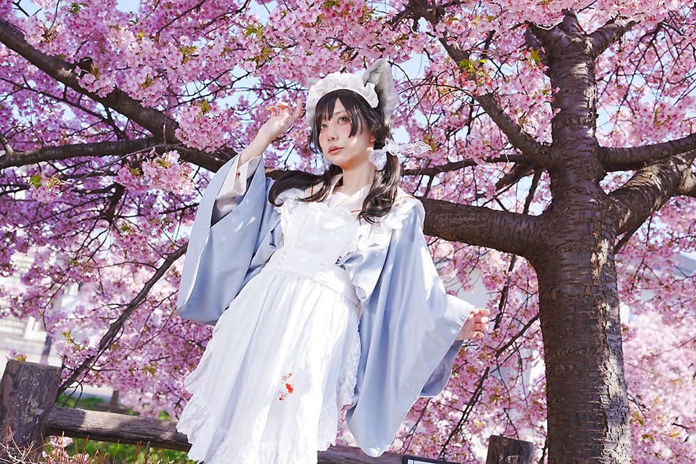 2025年3月1日(土)・2日(日)acosta!＠松戸宿坂川河津桜まつり | acosta  